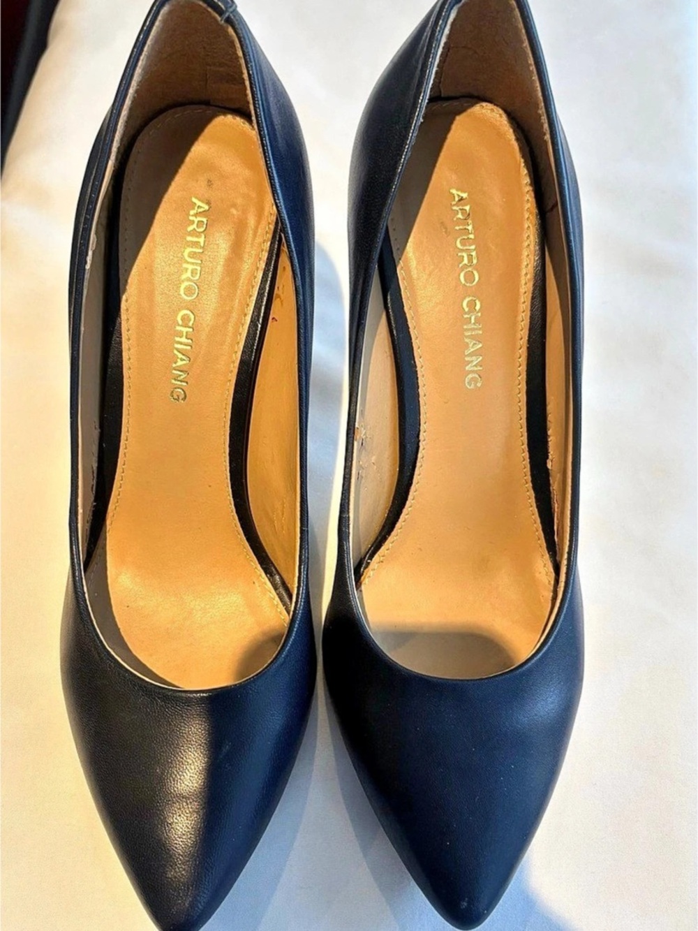 ARTURO CHIANG Pointed Toe Heels in Blue